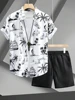 3D Printed Men's Short-sleeved Shirt And Beach Shorts Set Summer Street Fashion Men's Casual Shirt Outdoor Everyday Men's Shorts 2