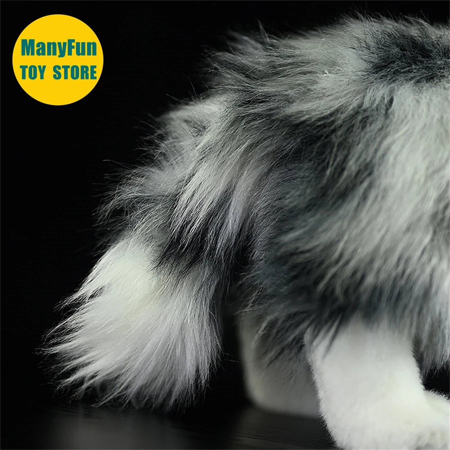 Se4100cd9b715496bb9642eff2d0e2749C - Border Collie Gifts