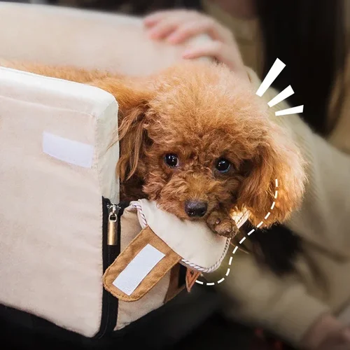 휴대용 고양이 개 침대 여행 중앙 제어 자동차 안전 애완 동물 좌석 운송 개 캐리어 보호장치 작은 강아지용 치와와 3