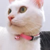 Personalized 1cm Width Cat Collar with Bell Safe Breakaway Cats Collars Quick Release Cute Necklace Free Engrave For Cats Kitten 6