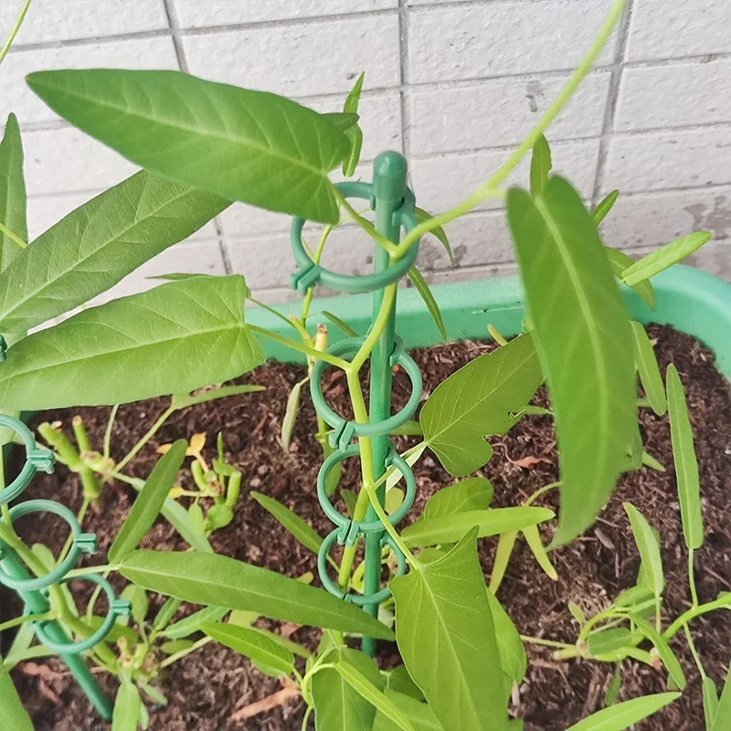 1-5PCS Multiple Clips Plant Supports Stakes Flower Stand Sticks Reusable Plant Clips Stand Flower Grow Holder Garden Tools plant clips