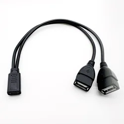 Dual USB 2.0 A Female to USB C Splitter Charge Cable - Fast Charging Connector - 0.3m