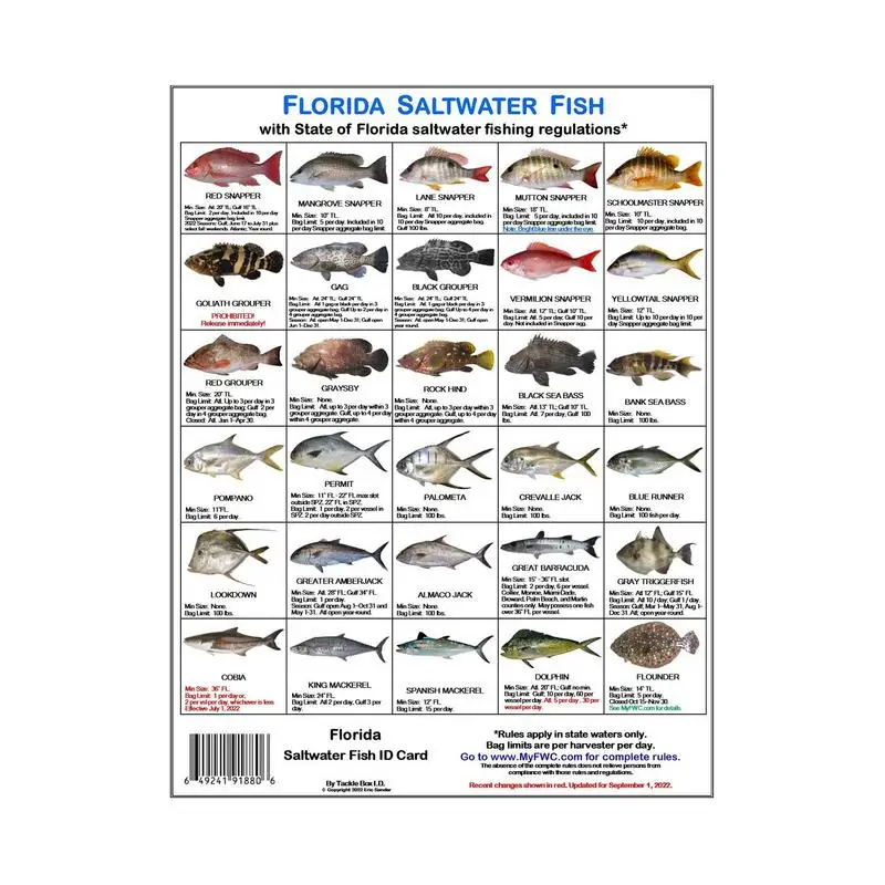 

Fishermen Identification Card Fish Species Guide With Magnets Identify Florida Waters Rules Card For Fishing Enthusiasts