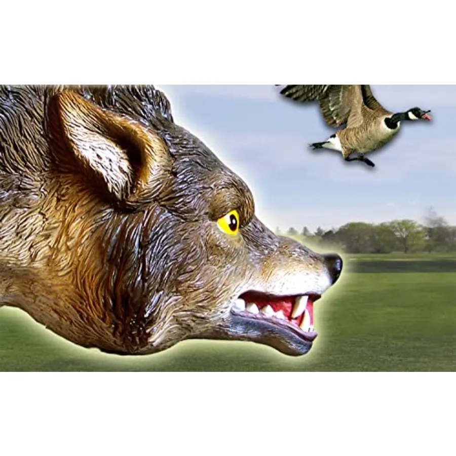 description