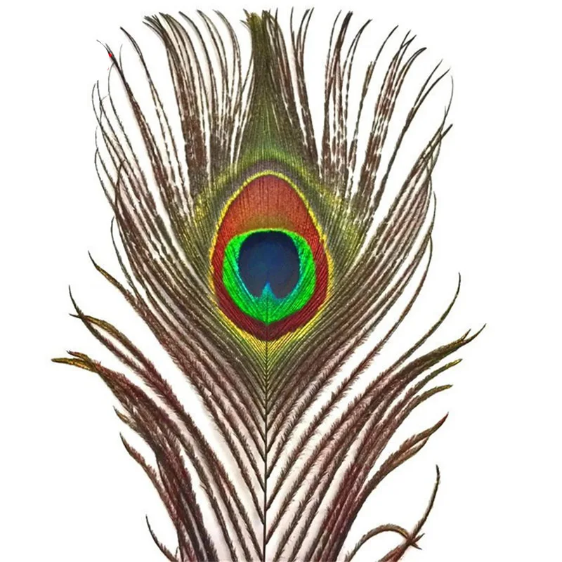 Natural Real Peacock Feathers 25-30CM/10-12inch Feathers for Crafts Wedding for Jewelry Making Decoration 10Pcs peacock feather decoration,craft feathers,natural feathers