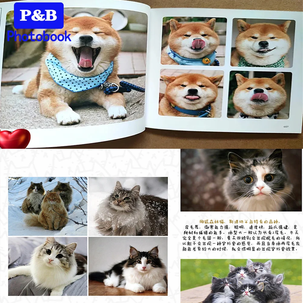 개인화 된 사진을위한 6 인치 포토 북 결혼식 테마 앨범을위한 DIY 사진 앨범  애완 동물 성장 메모리 북 사랑스러운 선물