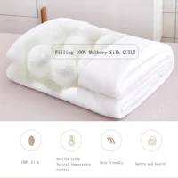 Sondeson Luxury 100% Silk Quilt – Warm Jacquard Duvet