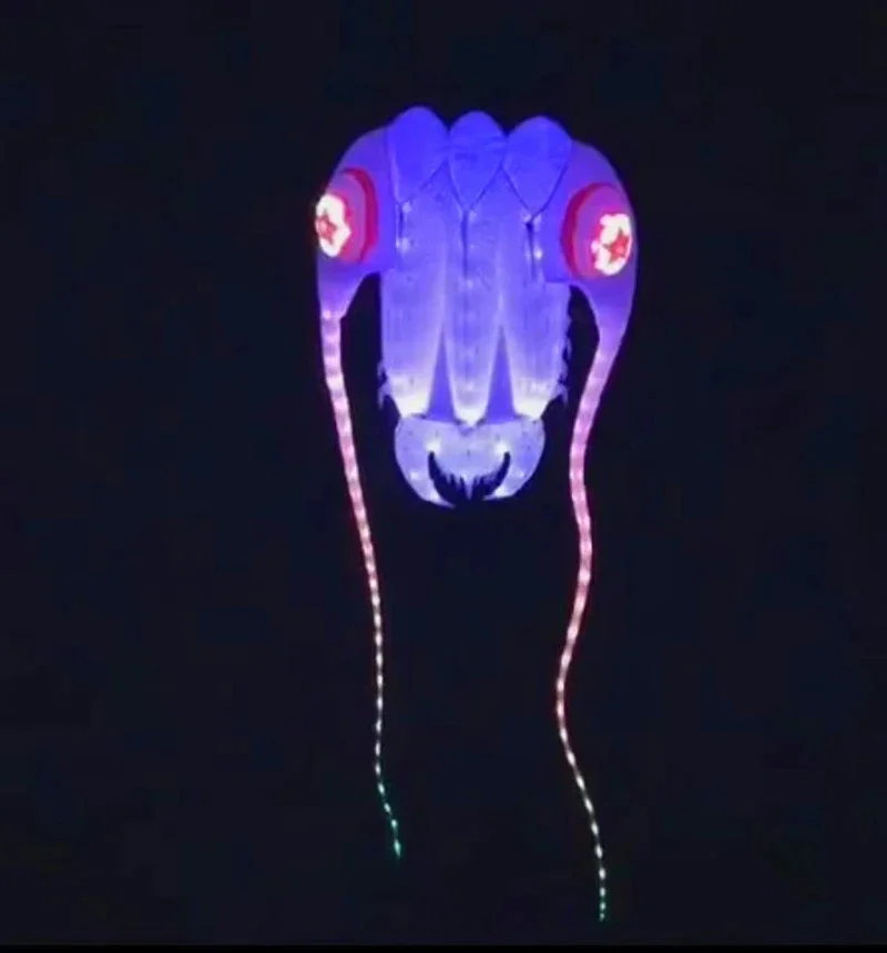 Free Shipping led kites flying for adults kites led octopus kites jellyfish kites goldfish kites Outdoor toys steering power koi 3