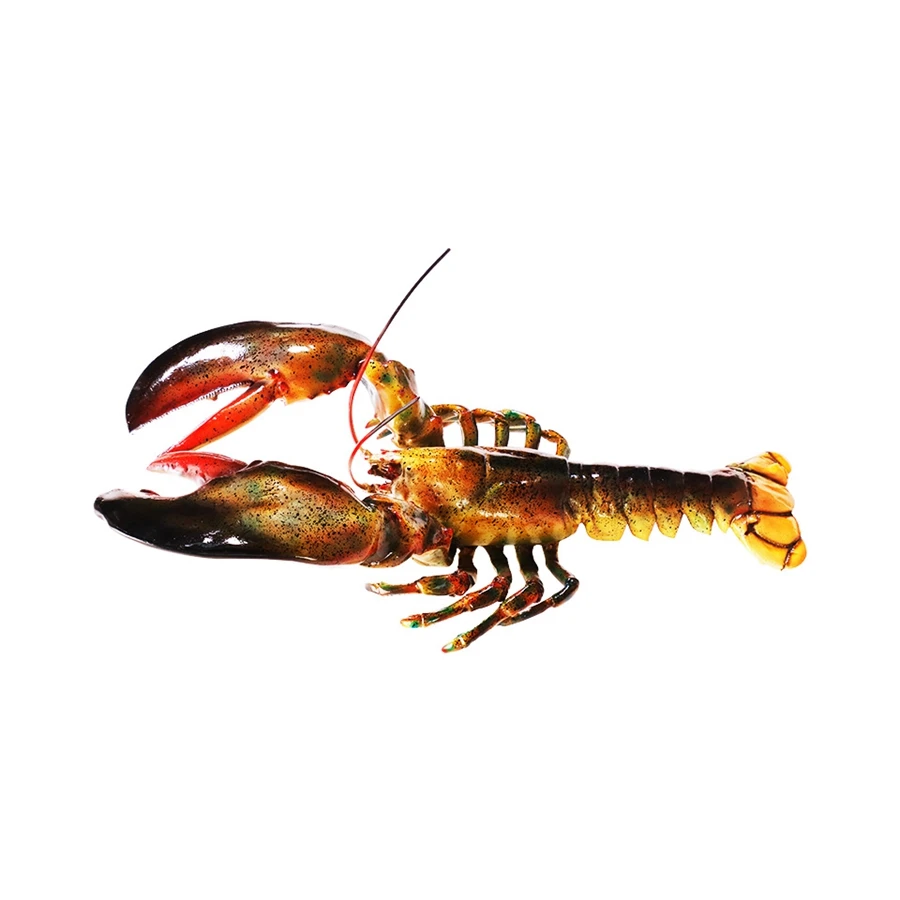 

2022 New Durable Using Low Price 75x32x36 Lob Lobster Restaurant Decorative Room Walls Hanging Fish