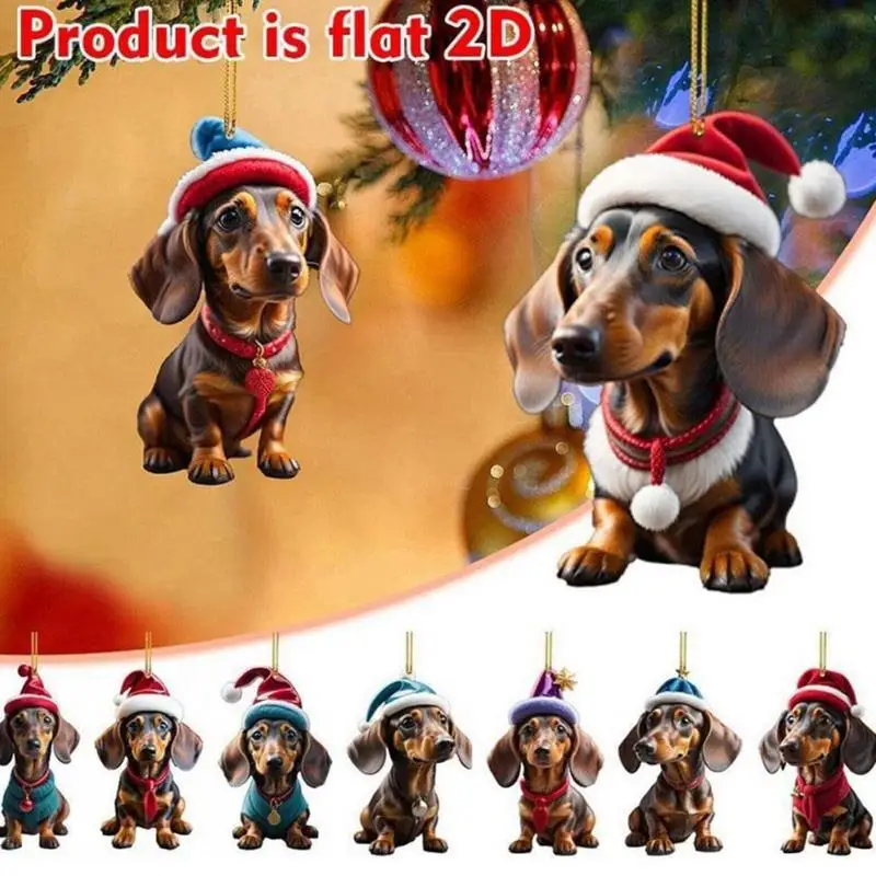 dsc-products