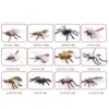 12PCS Simulation Plastic PVC Mini Insect Animals Models Spider Cockroach Beetle Grasshopper Dragonfly Ant Mantis Educational Toy 6
