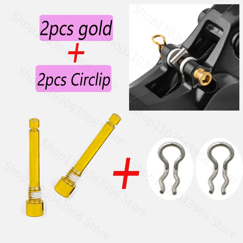 2 pezzi d'oro