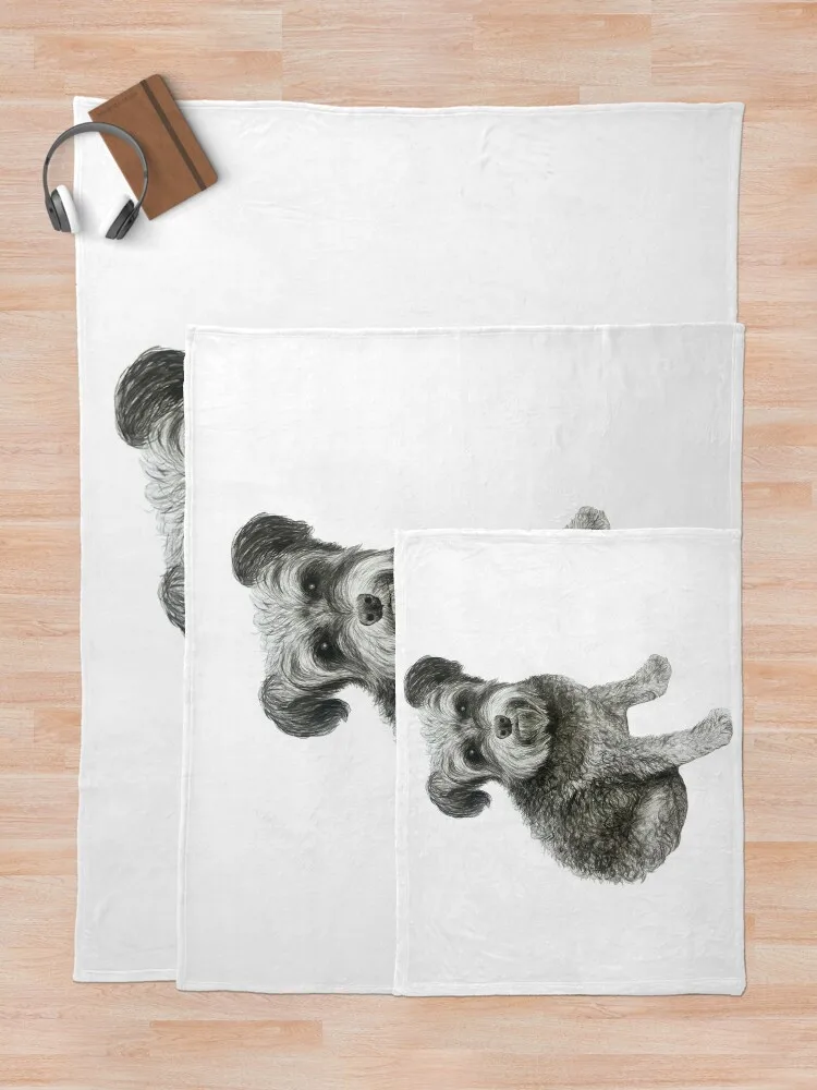 ���� ������ ��� �� ǫ���� ���� ���, ũ�������� ����