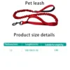 Heavy Duty Dog Leash- Nylon reflective dog leash with Soft Padded 2 Handle & Auto Lock Frog Clip Outdoor dog leash 6