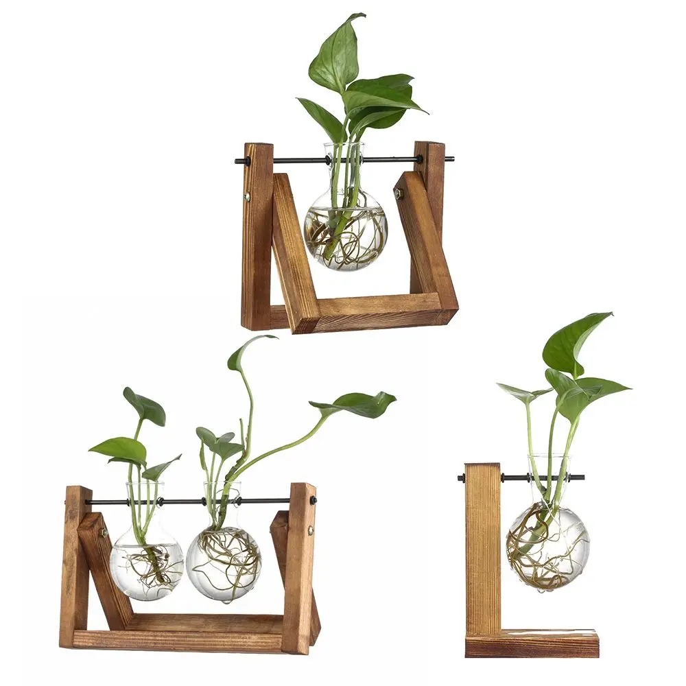 HomeDecorTerrariumTabletopBonsaiPlanterHydroponicPlantVases