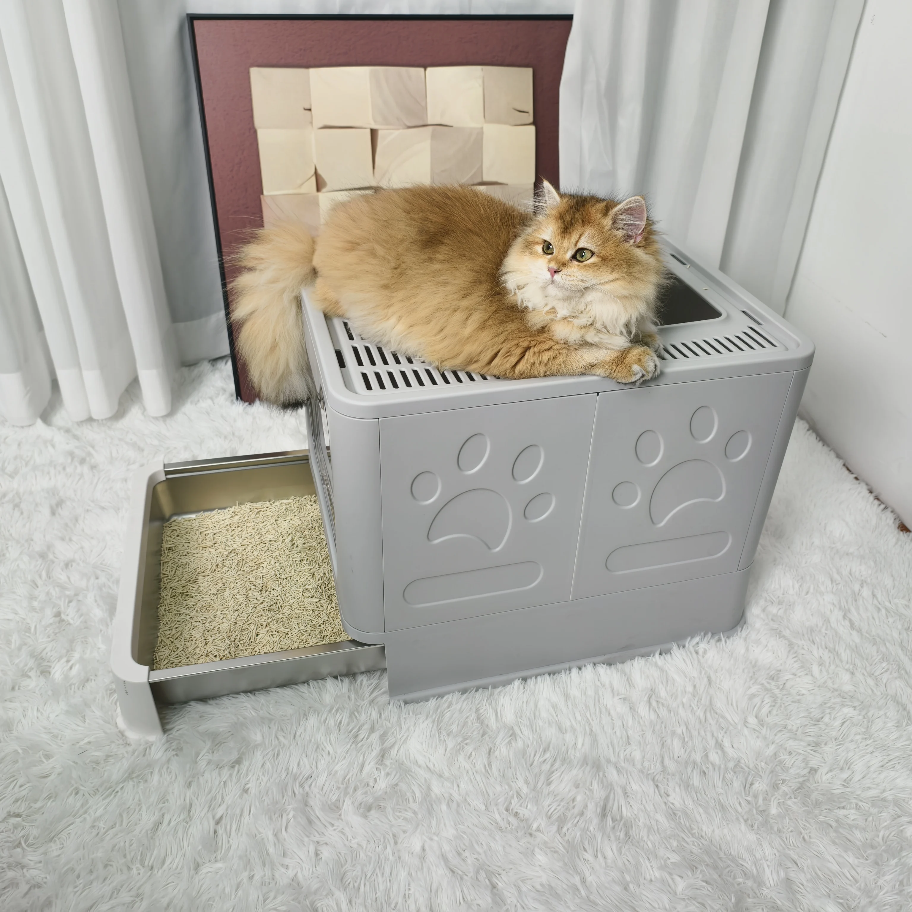 Cat Litter Box Front Entry 3