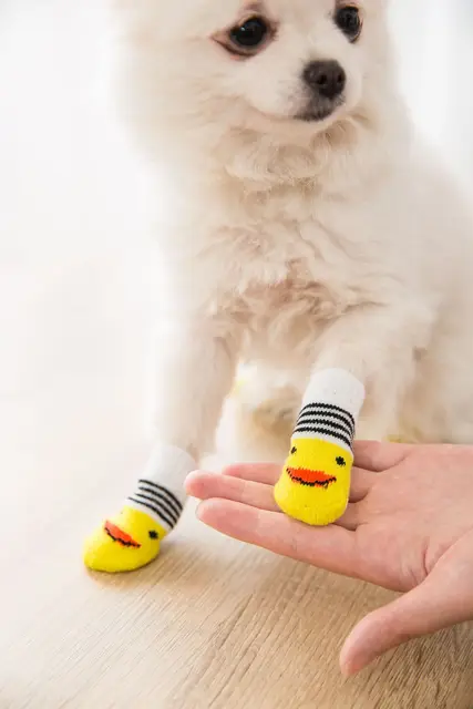 4pcs/set Dog Socks Cute Pattern Foot Covers Warm Anti Slip Shoes Puppy Paw Protector Christmas Gift for Puppy Cat Dogs 6