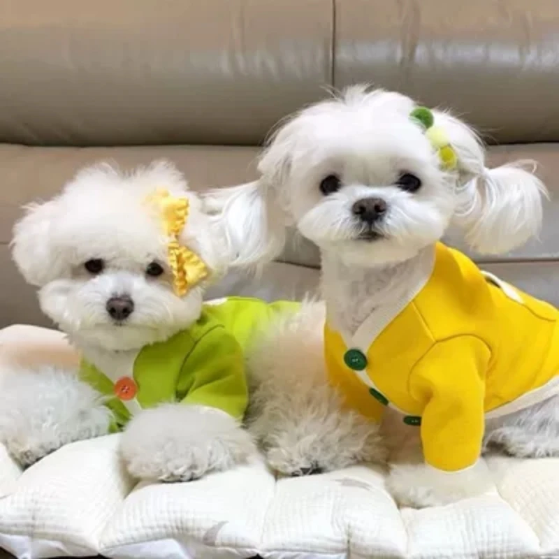 Autunno Nuovo Pet Open Button Maglione Orsacchiotti Pomeranian Cherry Vip Yorkshire Vestiti Per Cani