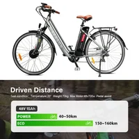 Batterie Silverfish longue portée 48V 20Ah 4PIN, Pack Lithium-Ion pour Conversion de vélo 1000W 500W, pour les déplacements en ville avec chargeur 4
