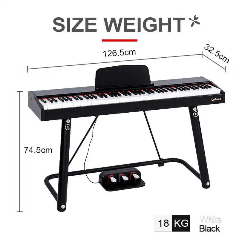 Ukuran Keyboard Piano | ppgbbe.intranet.biologia.ufrj.br