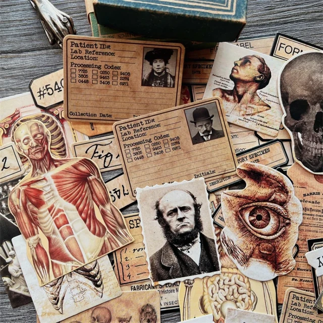 43Pcs Tim Holtz Style Medical Craft Paper Junk Journal Ephemera Human  Anatomy Cardstock Collage Scrapbooking Material Paper Pack - AliExpress