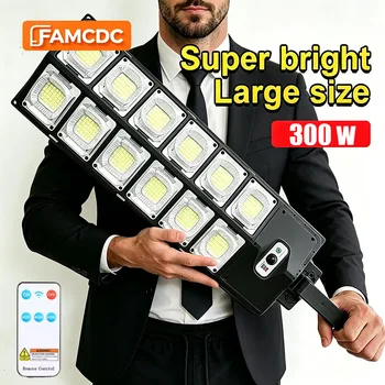 Solar Motion Street Light 1