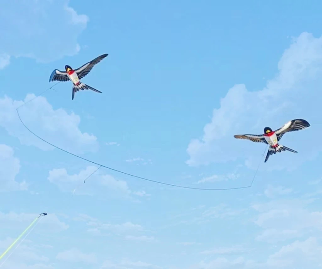 Mini Pole Swallow Kites for Adults - Dynamic Windsurfing Kites with Fishing Rod Line swallow kites