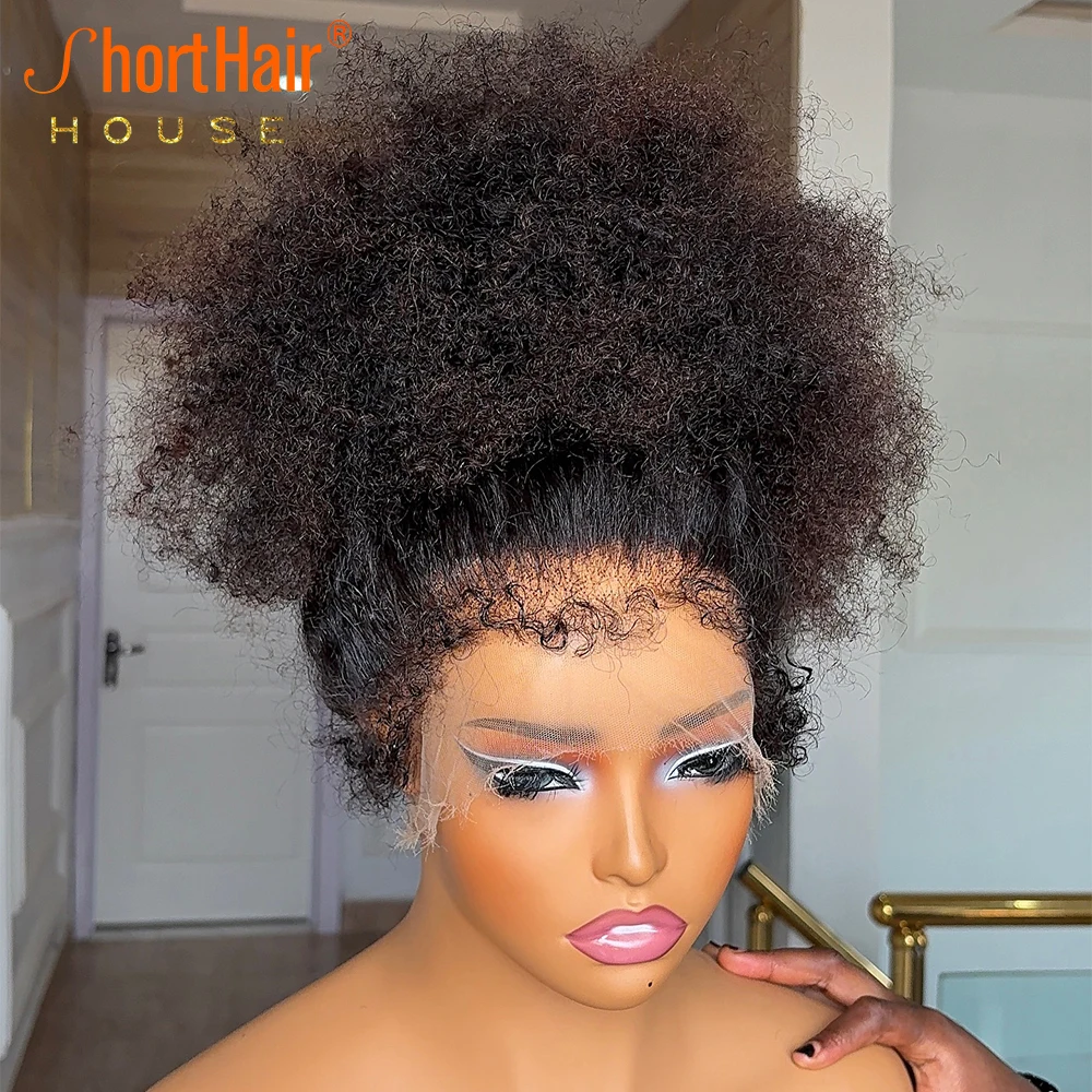 Afro Kinky Curly Wigs Human Hair 4C Kinky Edges Human Hair Wigs Invisible Knots 13x4 Lace Front 360 Full Lace Front