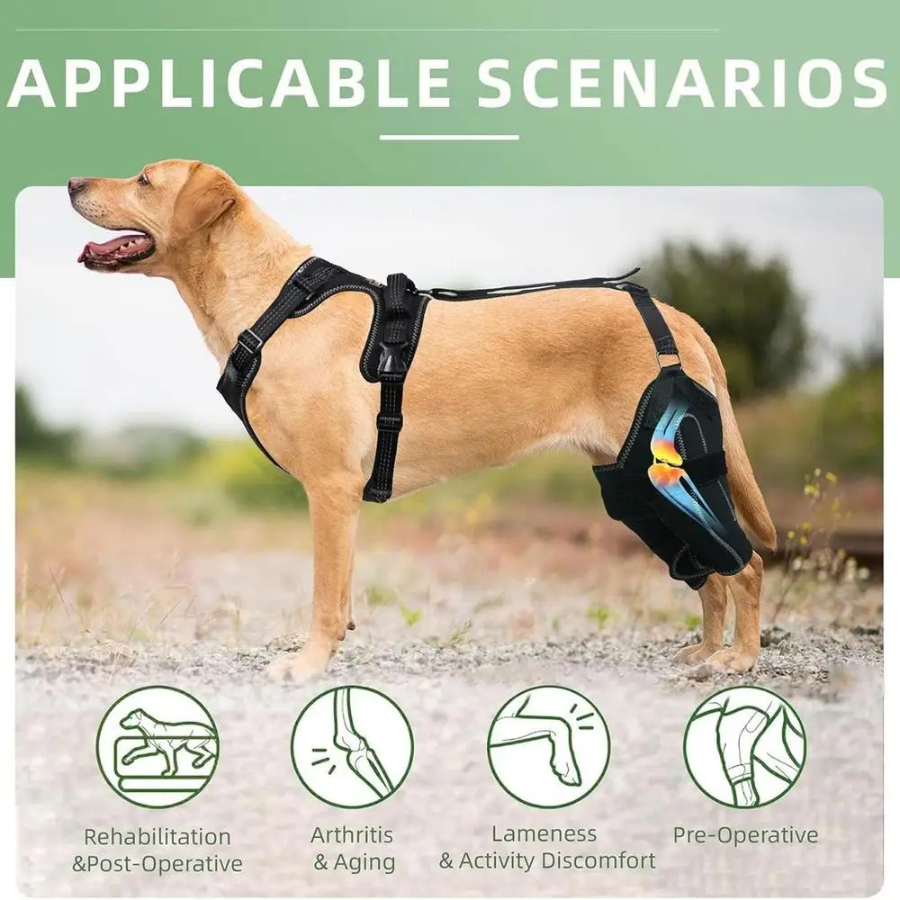 Knee Brace For Dogs Back Leg Adjustable Dogs Rear Leg Wrap Dogs Back Leg Wrap Canine Care CCL Support Brace For Medium And Large