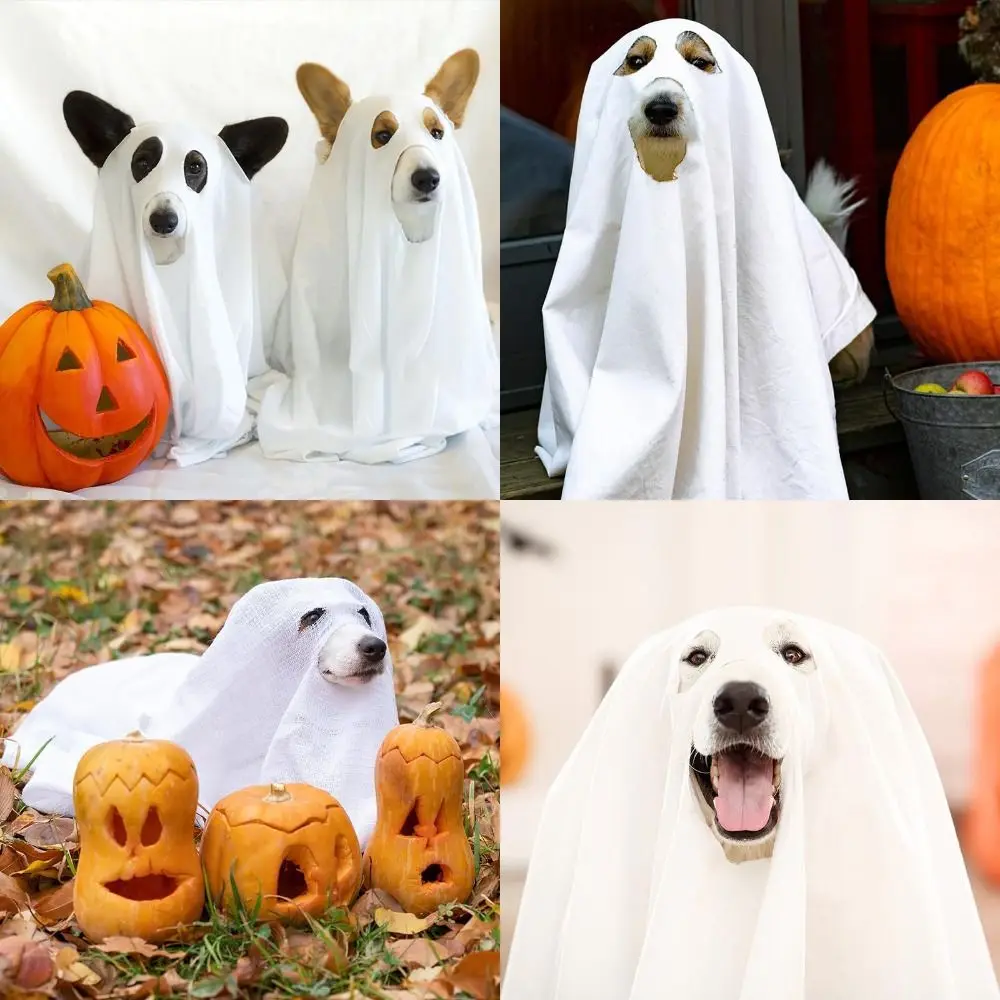 Ghost Dog Halloween Costume 4