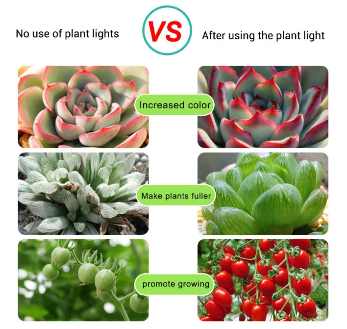 LED Grow Light Full Spectrum USB Grow Light Strip 0.5m 1m 2m 2835 Chip LED Phyto Lamp Plants Flowers Greenhouse Hydroponic