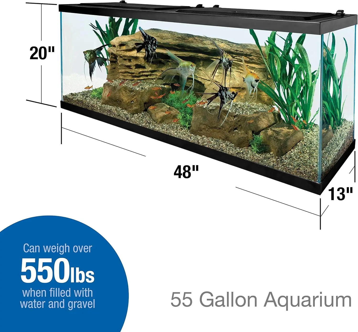 Glass Aquarium 3