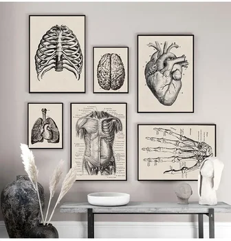 Poster vintage Pittura su tela nordica Stampa Educazione Moderna Anatomia umana Opere d'arte Scheletro muscolare medico Decorazioni per la casa