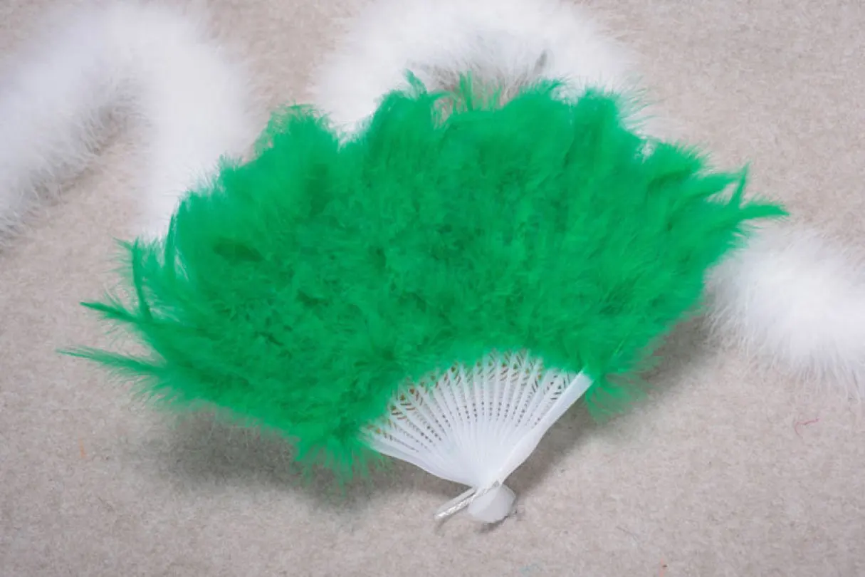 

Festival Feather Fan Performance Colorful Dance 21 Fans