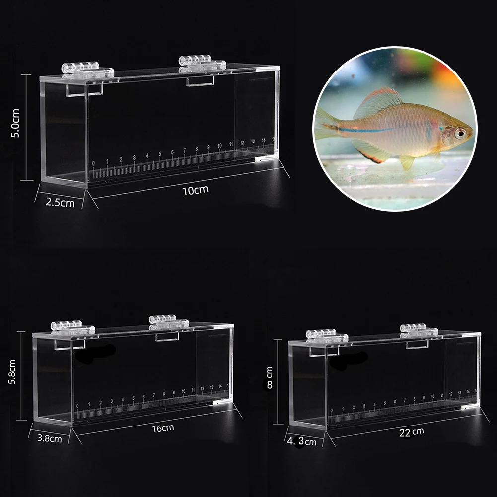 Title 2, Fish Viewing Box Acrylic Material Isolation Box...
