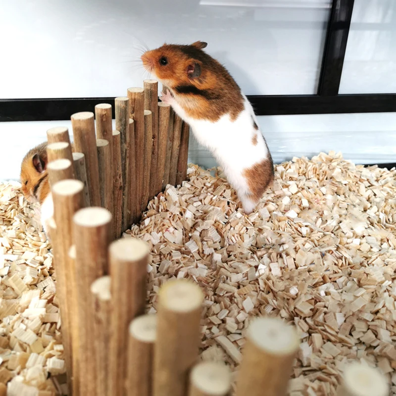 HamsterWoodenFencePetRatPlayingLadderBridgeToyProfessional