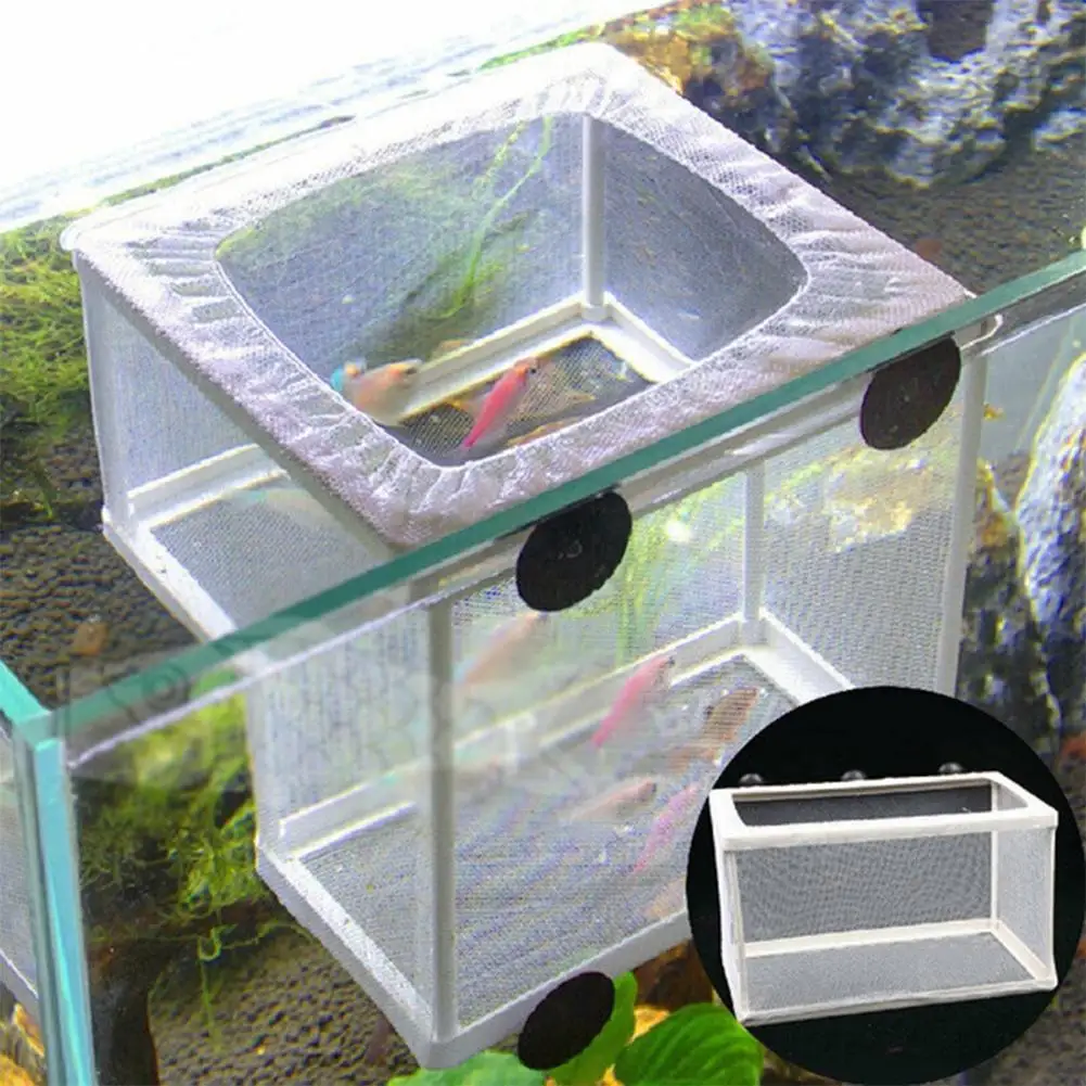 Aquarium Fish Breeding Isolation Box
