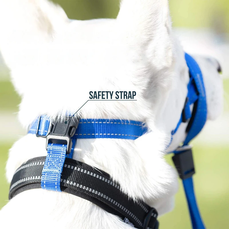 Dog Muzzle Anti Bark Dog Collar Training Tool Nylon Set Adjustable Anti-Bite Quick Release Mouth Cover