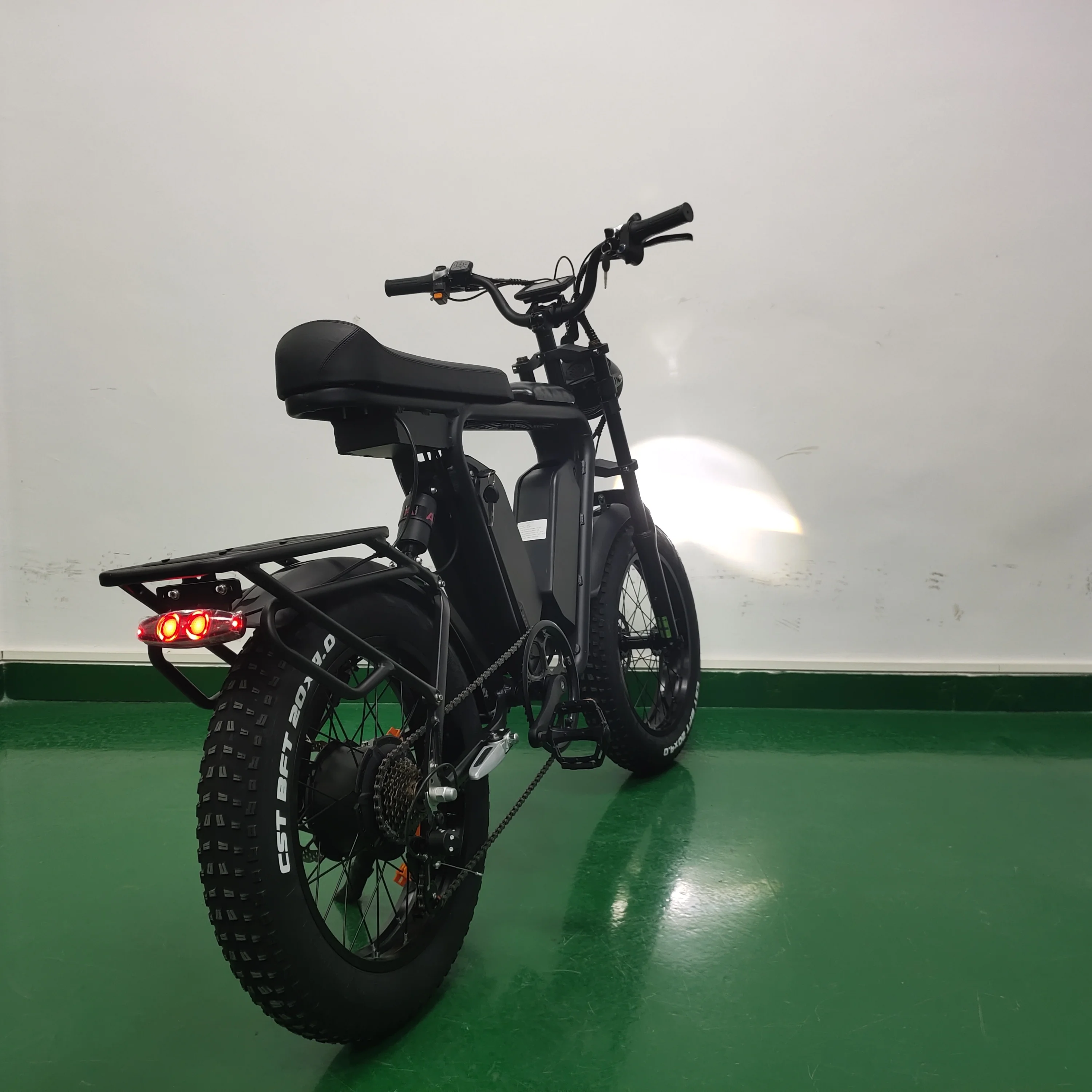 Long Range Electric EBike 22ah*2 Dual Batteries E Bike 1000w 48v Fat Tire Bicycle