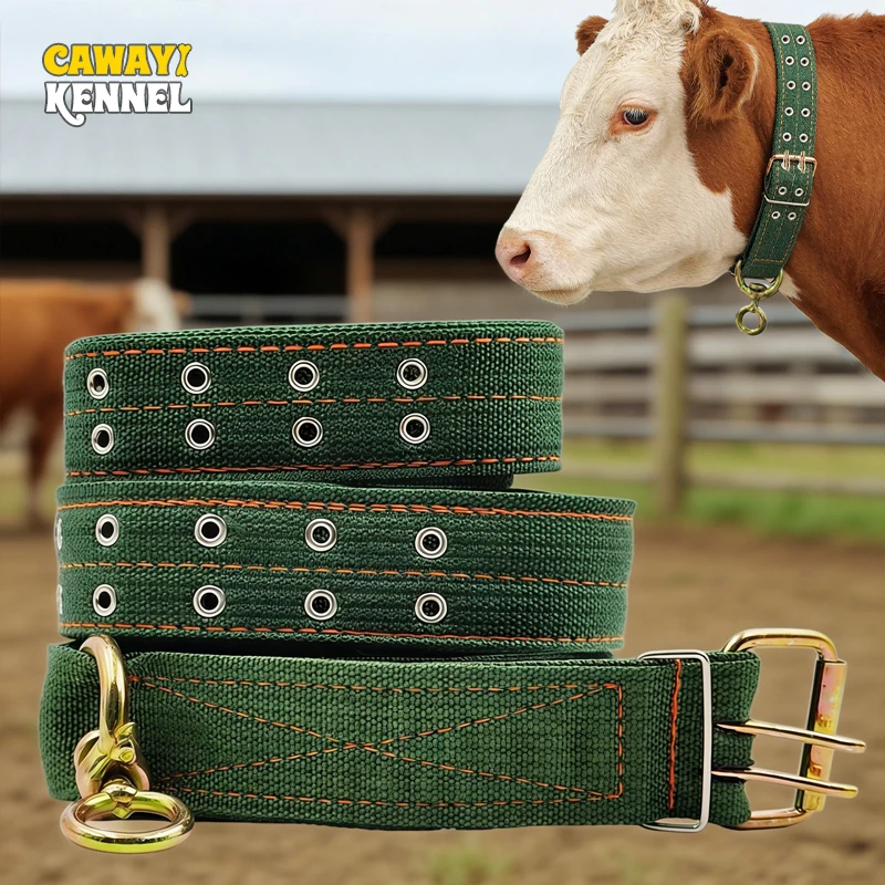 Heavy-Duty Adjustable Cattle Collar 1