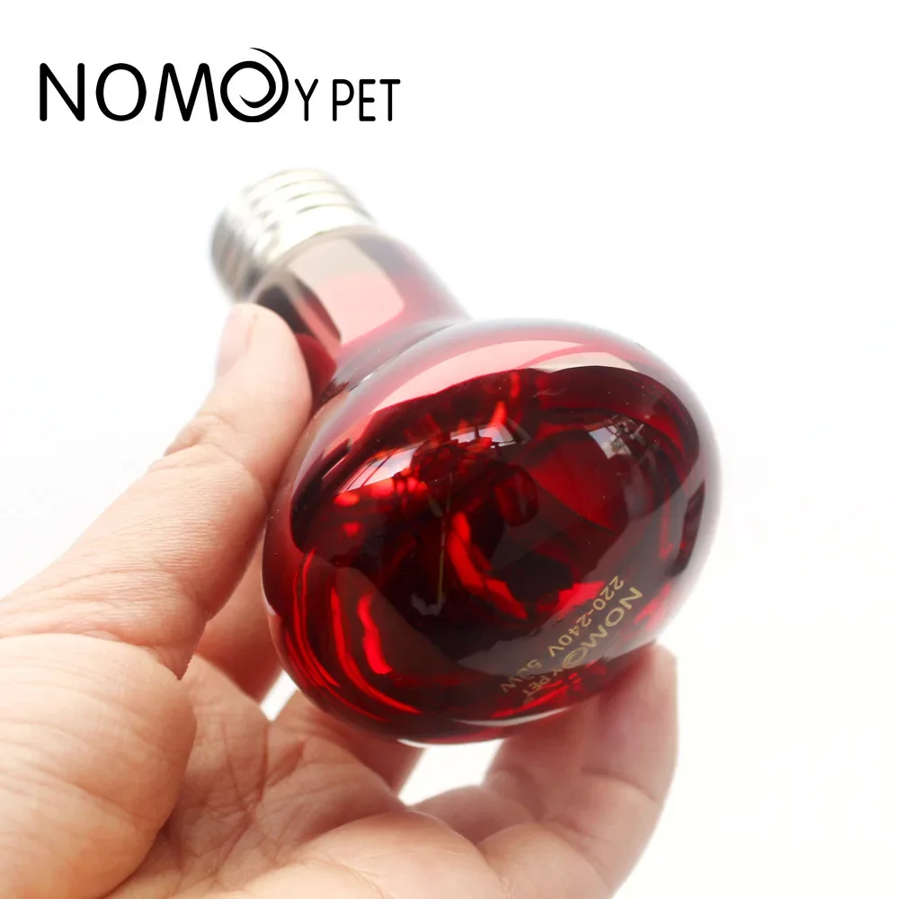 220V Reptile Heat Lamp Bulb Infrared Basking Spot Lamp Amphibian Snake Lamp Heat Reptile Bulbs 25W 50W 100W  luz terrario 3