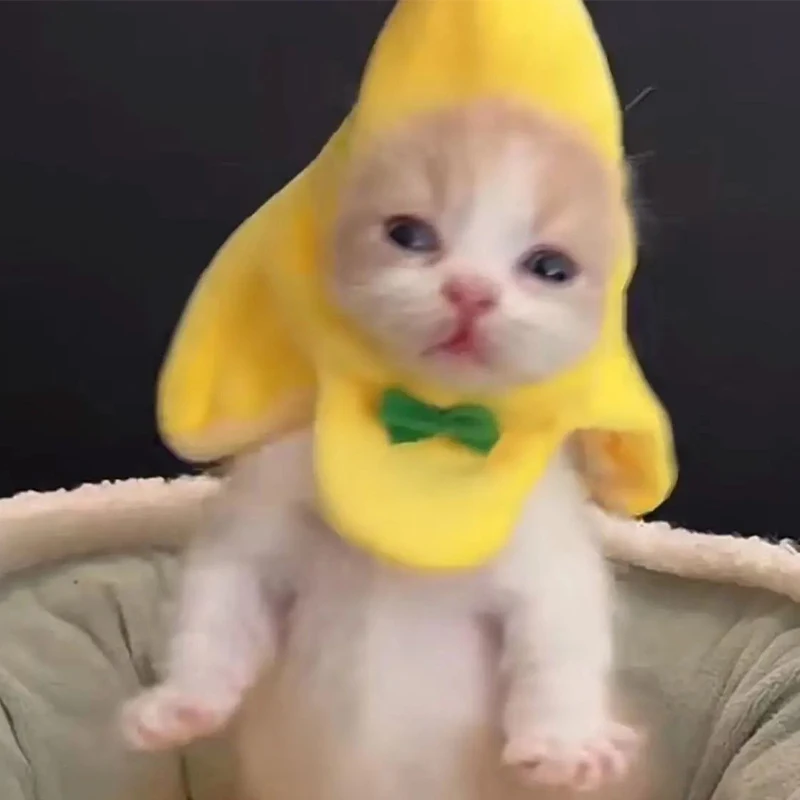 바나나 고양이 머리 커버, 창의적인 귀여운 고양이 반다나, 반려동물 머리 장식, 봉제 고양이 코스프레 의상, 바나나 머리 장식, 공연 사진 소품