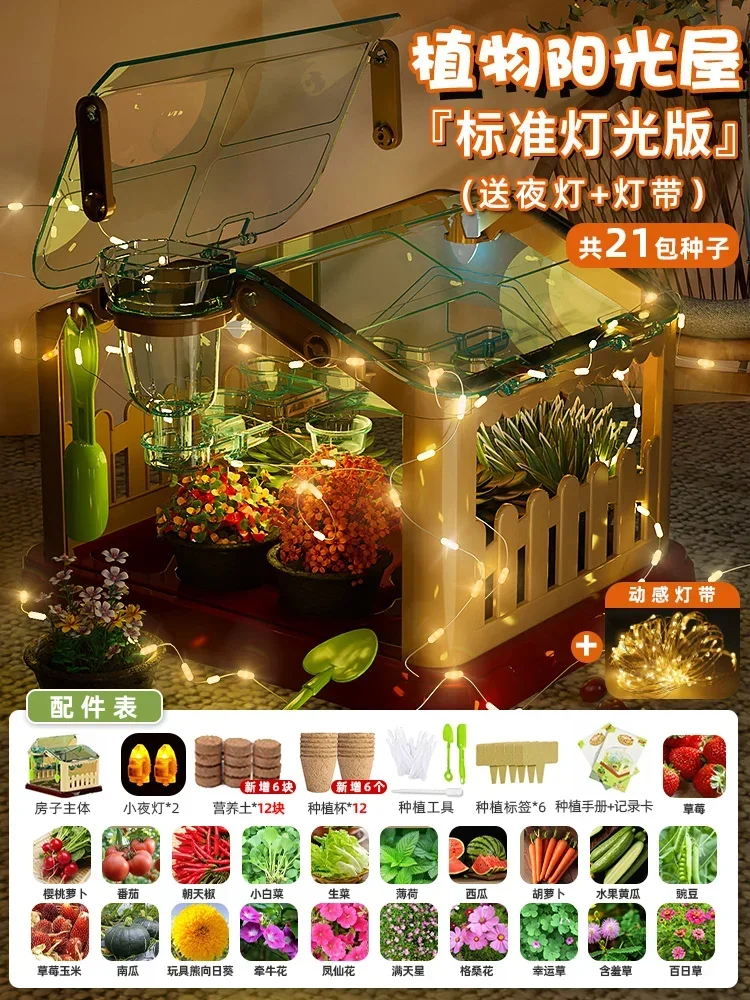 منزل زراعة أشعة الشمس للأطفال تجربة علمية صندوق مر...