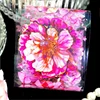 1Roll 2M Adhesives large Flower handbook PET Decoration Material loop sticker Scrapbook cut 60mm*2m Tape Flower confession 1
