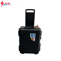 Pulsed laser cleaner luggage type 300w laser rust and paint removal graffiti removal 1
