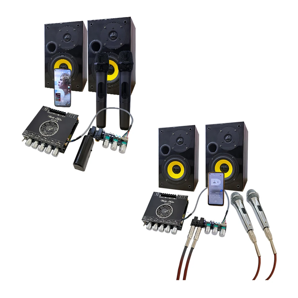 Bluetoothカラオケスピーカーフォン,オールインワンオーディオアンプ