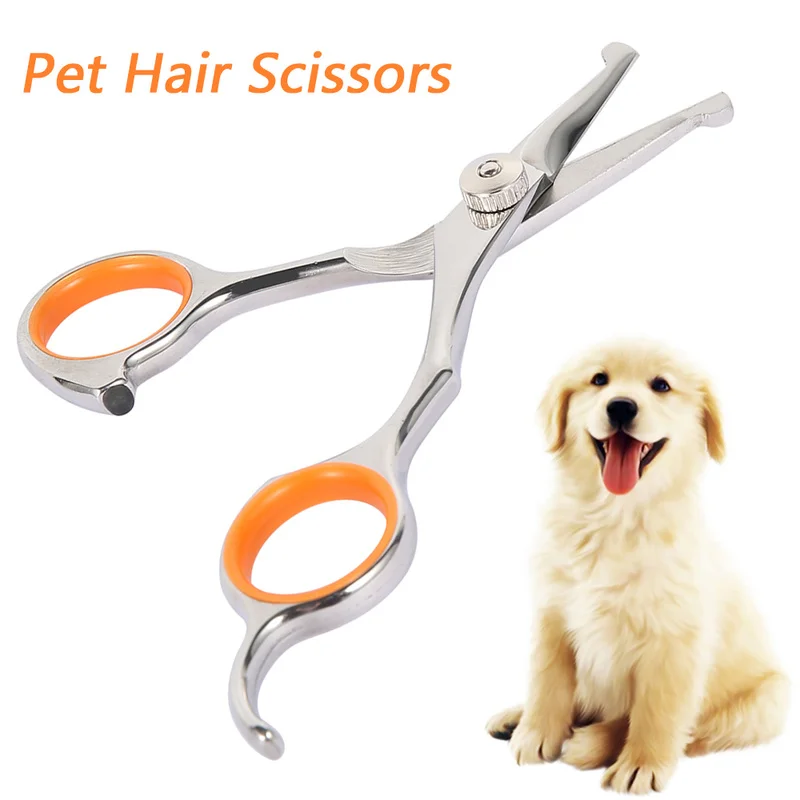 Can You Cut Dogs Hair With Scissors