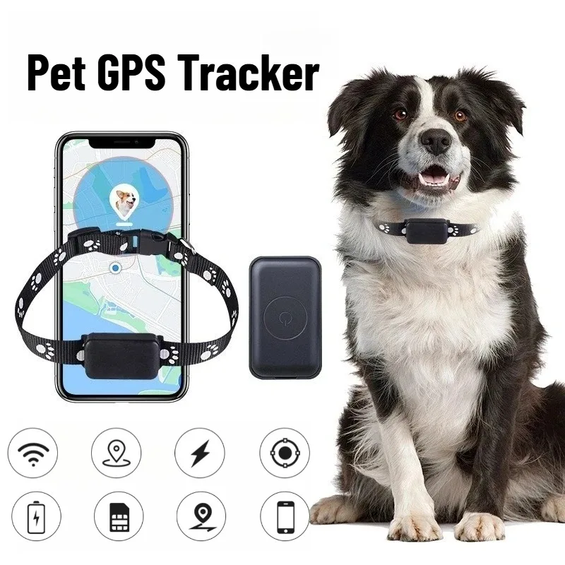Wireless Smart Dog Collar Pet GPS Real-time Tracking Collar Mini Collar ...