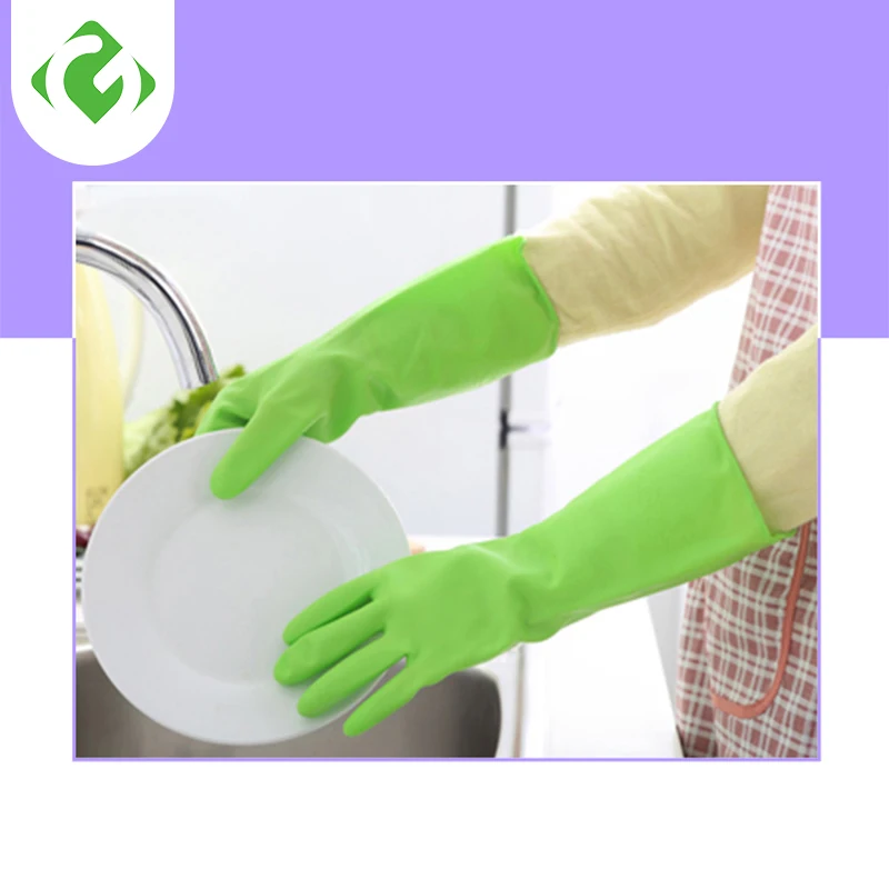  尩    û 尩  Dishe ô ڵ û ߰ β  ߰ſ