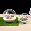 Micro Landscape Glass Vase Succulent Plant Terrarium Container Flower Pots Micro Landscape Oblique Glass Vase 8/10/12cm 1